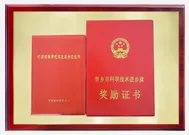 荣誉资质